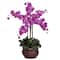 2.5ft. Pink Phalaenopsis Arrangement in Decorative Vase